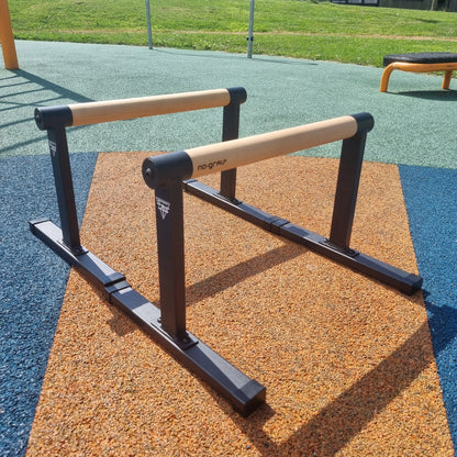Parallette Big